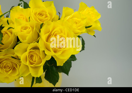 Tagliare rose giallo in un giallo Caraffa in ceramica Foto Stock