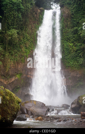 Gitgit cascata è una bella cascata che si trova nella zona di plateau ed è uno dei luoghi di interesse nella parte nord di Bali Foto Stock