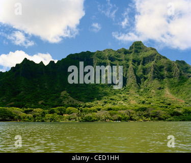 Cresta nervata in Monti Ko'olau Oahu Hawaii Foto Stock