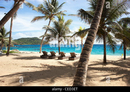 Isola paradiso spiaggia privata esclusiva Mustique Caraibi palme appartato non persone cielo sabbia mare deserto sole sole oceano amaca blu Foto Stock