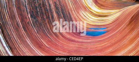 Formazione Sandtone in Nord Coyote Buttes, l'onda. Paria Canyon Vermillion Cliffs Wilderness. Utah e Arizona Foto Stock