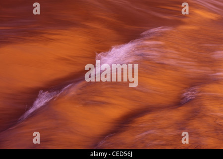 Vivacemente colorato dettaglio di acqua che fluisce attraverso il 'hotel Astrid sul fiume Wharfe vicino Barden, nello Yorkshire, Inghilterra Foto Stock