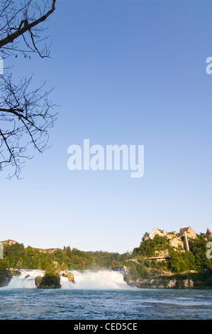 Verticale ampia angolazione di cascate del Reno, AKA Rhein cade o Rheinfalls, in Neuhausen vicino a Sciaffusa su una luminosa giornata di sole. Foto Stock