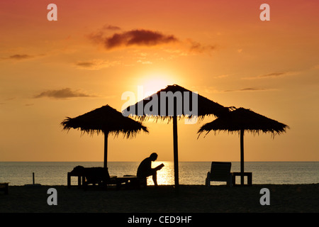 Persona la lettura di un libro sulla spiaggia al tramonto, silhouette, Kib Hotel, Koh Kho Khao Islanda, nel sud della Thailandia Foto Stock