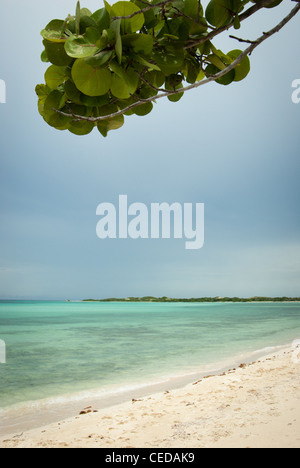 Playa del Flamenco , isola di Cayo Coco, Ciego de Avila provincia, Cuba Foto Stock