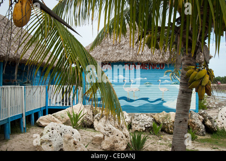 Scrittura su un edificio: Playa Flamenco isola di Cayo Coco, Ciego de Avila provincia, Cuba Foto Stock