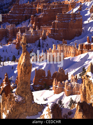 La mattina presto su Queen's giardino visto dal punto di Sunrise nel Parco Nazionale di Bryce Canyon nel sud dello Utah, Stati Uniti d'America Foto Stock