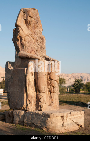 Colosso di Memnon sulla sponda ovest del Nilo a Luxor Foto Stock