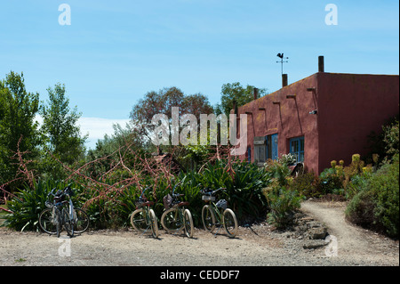 Il Beach House cantina, i livelli Vigna, Te Awanga, nel Hawkes Bay area di Nuova Zelanda Foto Stock