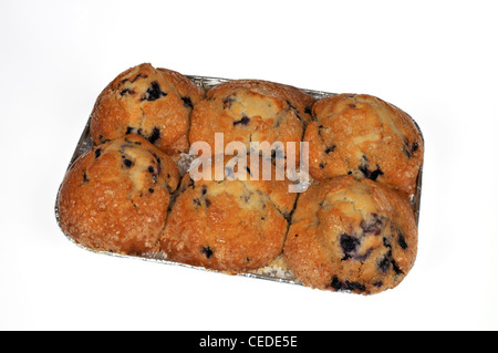 Lo stagno di 6 supermercato freschi muffin ai mirtilli su sfondo bianco intaglio USA Foto Stock