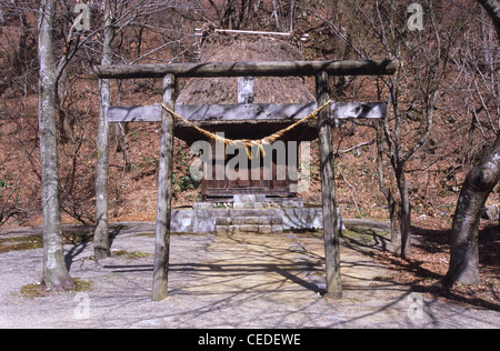 Torii tradizionale gate, Folk Museum, Shirakawa-go, Prefettura di Gifu, Giappone Foto Stock