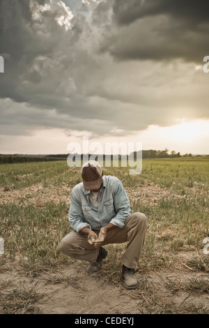 African American Farmer controllando la sporcizia nel campo Foto Stock