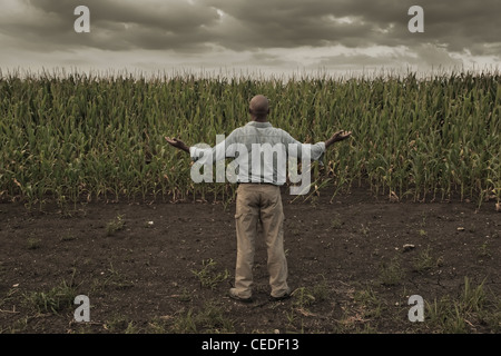 African American Farmer in piedi in campo con le braccia aperte Foto Stock