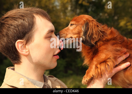 Bassotto lambisce l uomo nel naso Foto Stock