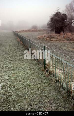 Misty scena con recinto Foto Stock