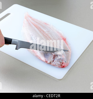 Mano utilizzando un coltello per rimuovere la testa di un pelato sogliola di Dover su di un tagliere in dimostrazione di come un filetto di pesce, close-up Foto Stock