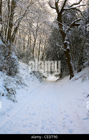 Coperta di neve i campi e foreste di Holmbury Hill, a est di Guildford, Surrey Hills. Regno Unito Foto Stock