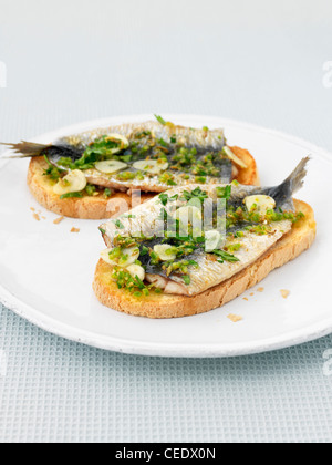 Sardine grigliate su pane tostato Foto Stock