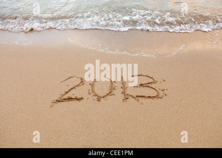 2013 scritto nella sabbia sulla spiaggia con le onde del mare partendo per cancellare la parola Foto Stock