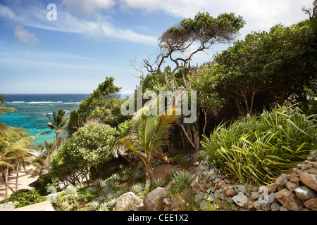 Isola tropicale di alberi e piante Foto Stock