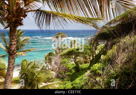 Isola paradiso spiaggia privata esclusiva Mustique Caraibi palme appartato non persone cielo sabbia mare deserto sole sole oceano amaca blu Foto Stock