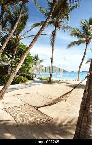 Isola paradiso spiaggia privata esclusiva Mustique Caraibi palme appartato non persone cielo sabbia mare deserto sole sole oceano amaca blu Foto Stock