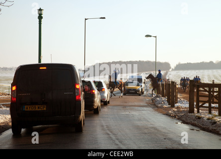 Ai cavalli da corsa che attraversa la strada in inverno, Newmarket Suffolk REGNO UNITO Foto Stock