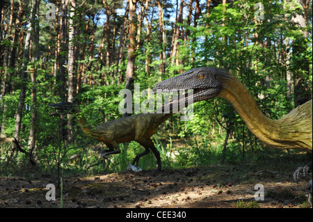 Dimensioni di vita statua di un velociraptors in scenario della foresta Foto Stock