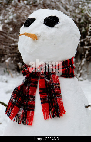 Pupazzo di neve con gli occhi di carbone e sciarpa tartan Foto Stock