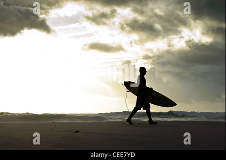 Silhouette di un surfista a piedi con la sua tavola da surf lungo la spiaggia con nuvole temporalesche in background, Tarifa, Andalusia, Spagna Foto Stock