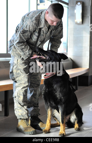 Il personale sgt. Robert Brown mette un guinzaglio su militare cane da lavoro benny prima di eseguire una ricerca della nuova ala a Fairbanks international airport in Fairbanks, Alaska, 5 maggio. il dipartimento di sicurezza nazionale e di Eielson Air Force Base in Alaska, unite insieme per cancellare la nuova ala di minacce. sergente brown e benny sono una MWD team assegnato a 354a forze di sicurezza squadron, eielson afb. Foto Stock