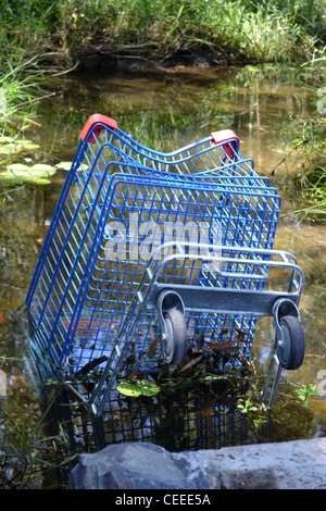 Carrello della spesa oggetto di dumping creek Foto Stock