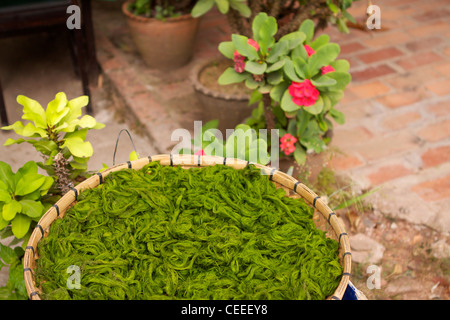 Un cestello di fiume Mekong infestante (Kaipen, Khai paen), una prelibatezza locale, in vendita presso la mattina presto il mercato alimentare in Luang Prabang Foto Stock