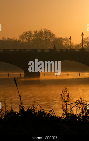 Misty sunsrise sul lungo l'acqua dal ponte a serpentina, i giardini di Kensington, London, Regno Unito Foto Stock