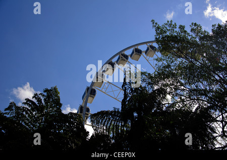 La Ruota Panoramica di Brisbane, Australia Foto Stock