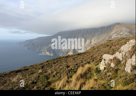 Il Slieve League (grigio Montagna) cliffs, situato sulla costa occidentale di Co. Donegal Irlanda, rupi più alte in Europa Foto Stock