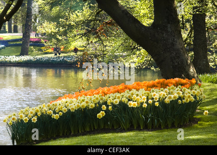 Stagno nel parco con disposizione dei tulipani e narcisi fiori intorno a molla Foto Stock