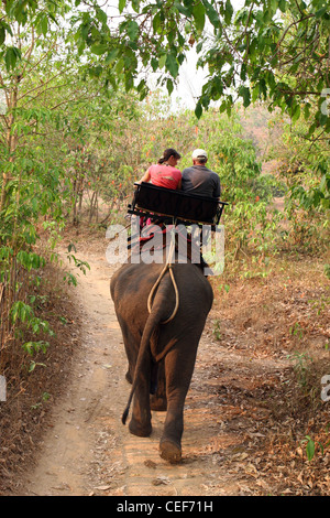 Turisti che si godono una corsa su elefante, Ruammit village, provincia di Chiang Rai in Thailandia. Foto Stock