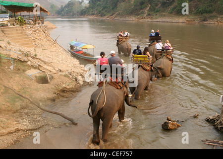 Turisti che si godono una corsa su elefante attraverso il fiume Kok, Ruammit village, provincia di Chiang Rai in Thailandia. Foto Stock