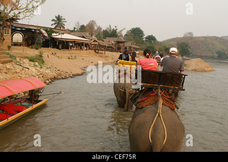 Turisti che si godono una corsa su elefante attraverso il fiume Kok, Ruammit village, provincia di Chiang Rai in Thailandia. Foto Stock