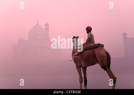 Ragazzo in sella a dorso di cammello con Taj Mahal (Patrimonio Mondiale dell'UNESCO) nella nebbia mattutina, Agra, India Foto Stock