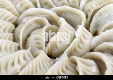 Potstickers maiale cinese gnocco fritto Pan Macro Closeup Foto Stock