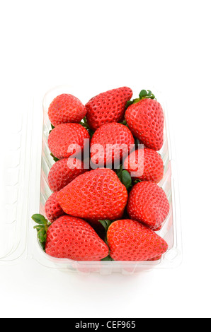 Fragole fresche in contenitore trasparente in plastica su sfondo bianco in formato verticale con una stanza per la copia Foto Stock