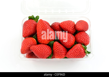 Fragole fresche in contenitore trasparente in plastica su sfondo bianco in formato orizzontale con una stanza per la copia Foto Stock