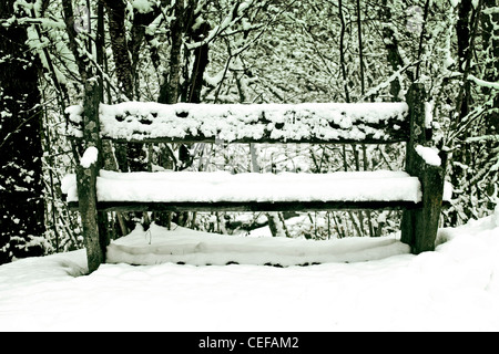 Banco di pietra con la neve Foto Stock