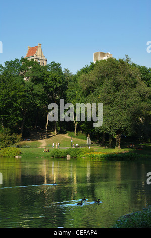 Giorno di estate in central park di new york con il lago e le anatre Foto Stock