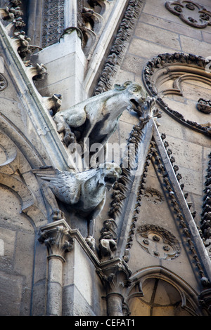 Doccioni sulla parte esterna della Cattedrale di Notre Dame Parigi Francia Foto Stock