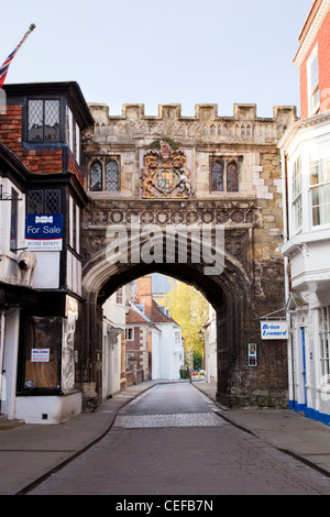 La porta nord alla cattedrale vicino, Salisbury, Wiltshire. Foto Stock