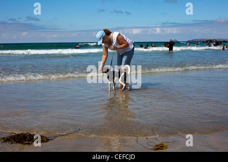 Signora cane a camminare sulla spiaggia, cane non piace l'acqua, passeggiate cane sul piombo, tri colorato jack russell.a piedi cane sul piombo, Foto Stock