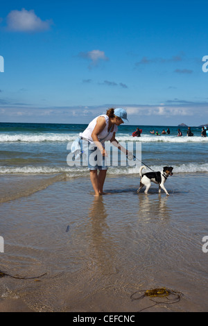 Signora cane a camminare sulla spiaggia, cane non piace l'acqua, passeggiate cane sul piombo, tri colorato jack russell.a piedi cane sul piombo, Foto Stock
